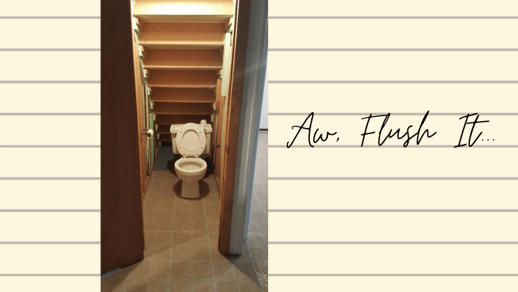 Aw, Flush It...
